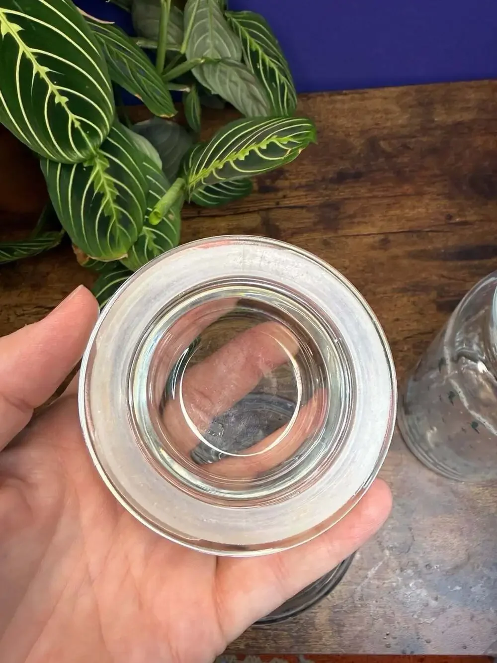 Vintage 1988 CHD Glass Canister Jars with Kitty Cat and Rose Design (Set of 2)